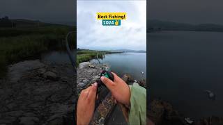 Latest match fishing videos 2024  amazing fish video  hook fishing fish shorts bait river 4k [upl. by Quincy]