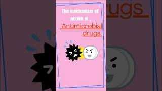 MECHANISM OF ACTION OF ANTIMICROBIAL DRUGS [upl. by Allemap]