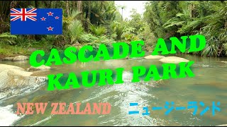 New Zealand Auckland Cascade Kauri Park Waitakere Ranges [upl. by Peadar]