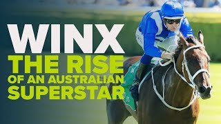 Australias Greatest Horse  Winx The Rise Of A Superstar  From Four Cox Plates To A 33Win Streak [upl. by Allicirp]