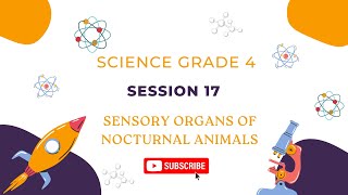 sensory organs of nocturnal animals  grade 4  science [upl. by Aivatra]