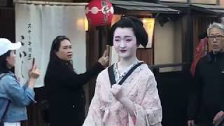 Ep 25 Geishaspotting In Search of Geisha in the Gion District of Kyoto Japan [upl. by Eelorac940]