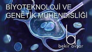 YKS BİYOTEKNOLOJİ VE GENETİK MÜHENDİSLİĞİ [upl. by Enyawud]