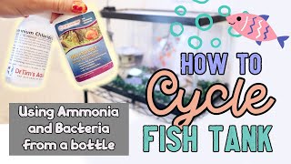 CYCLING Fish Tank EASY using Ammonia amp Bacteria from Dr Tims Aquatics [upl. by Cliff]