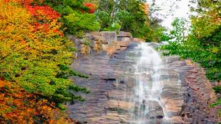 Arethusa Falls in Blue Mountains NSW [upl. by Kassandra]