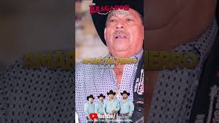 Los Hermanos Amaro del Fierro Los Bragados del Norte yesmusicoficial yesmusicoficial corridos [upl. by Halsey]