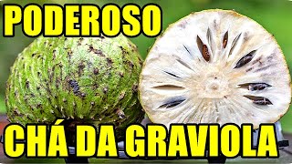 CHA DA GRAVIOLA CONTROLA AÇUCAR NO SANGUE DIABETE GLICEMIA PROBLEMAS NOS RINS PRESSÃO ARTERIAL [upl. by Eldred]