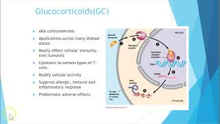 Glucocorticoids [upl. by Llenrad968]