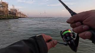 Seabass Vs Streetfishing setup [upl. by Mor]