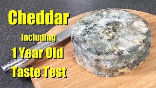 How to make Cheddar Cheese with all Updates and Taste Tests [upl. by Wall798]