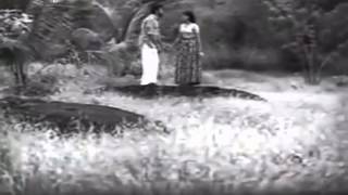 Marivillu Panthalitta  Theerthayathra1972 [upl. by Adnomal]