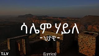 Saliem Haile  Hyawi ህያዊ  New Tigrigna Music 2024 lyrics [upl. by Gerdy]