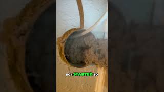 Shocking Dryer Vent Cleanup Years of Hidden Lint [upl. by Annoel]