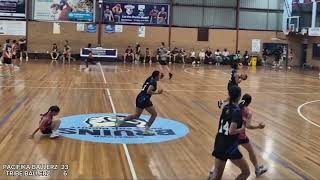 U18s DIV 1  PACIFIKA vs TRIBE highlights 231124 [upl. by Adleremse]