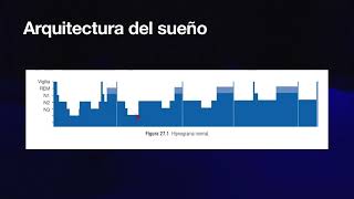 Fisiología del sueño  TECH Universidad Tecnológica [upl. by Eidurt]