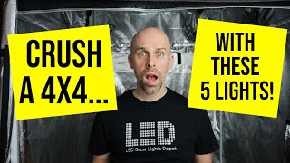 5 HIGHINTENISTY LED Grow Lights to CRUSH a 4x4 [upl. by Namyl477]