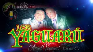 openings PRESENTACION VIDEO  GRUPO YAGUARU [upl. by Nicholle120]