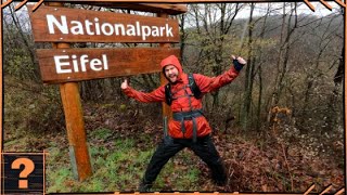 Wandern im Nationalpark Eifel 🐱Wildnis Trail🐱amp Wilder Weg [upl. by Arerrac180]