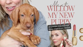 Vizsla Puppy chat and a makeup tutorial trialling Lisa Eldridges new Rouge Experience Lipstick [upl. by Saeger]