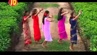 Phool Baganer Malini  Tushar Arjun  Barnali Kalita  Superhit Baganiya song Assam [upl. by Rushing]