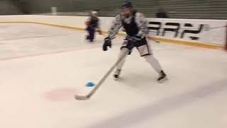 Eishockey Trainingseinheit mit FieldPower [upl. by Lemmueu]