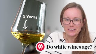 Learn by Tasting ep 26 Wine Folly [upl. by Sitra]