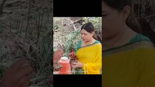 Reshma Aunty Video Viral  Kannada troll  insta reels troll  Trollpp [upl. by Aihtennek859]