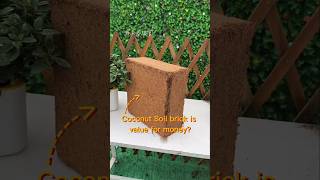 Coconut soil brick this soil is really hard Improve it soilimprovement soil compostingworms [upl. by Jenna]