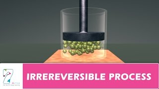 IRREREVERSIBLE PROCESS [upl. by Eldnek]