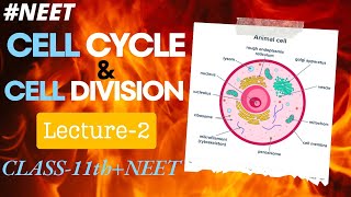 BIOLOGY L2 CELL CYCLE AND CELL DIVISION ENLIGHT BATCH NEET 11 PCB ELITE ACADEMY [upl. by Edelstein878]