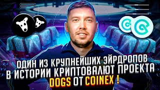 Один из крупнейших Эйрдропов в истории криптовалют проекта DOGS от CoinEx [upl. by Biamonte]