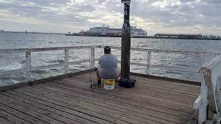 Lagoon Pier Snapper Fishing  Anglers Wait For A Bite While Tourists Enjoy The Bay Views [upl. by Rhodia]