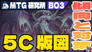 【MTG研究所】Tier1徹底解説「5C版図」｜スタンダード【機械兵団の進軍決戦の後に】BO3 [upl. by Pedrotti]