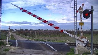 Spoorwegovergang Adelfia I  Railroad crossing  Passaggio a livello [upl. by Blatt]