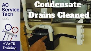 Condensate Drain Traps amp Lines Cleaned on AC and Gas Furnace [upl. by Wira]