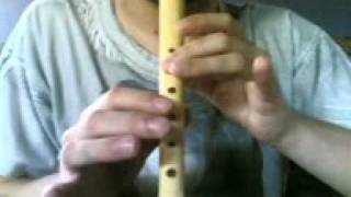 How to play Legend of Zeldas Main Theme with recorder flute flauta [upl. by Anawat]