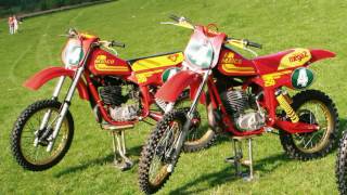 1981 490 Maico  1981 250 Picture Slideshow [upl. by Kraul]