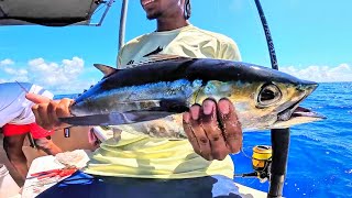 Catching The WORLDs Most BEAUTIFUL Fish  CATCH CLEAN COOK [upl. by Ettenil]