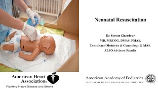 Neonatal Resuscitation  MRCOG Part 3 Tasks [upl. by Assiruam]