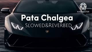 Pata ChalegaSlowedReverbImran Khan [upl. by Shafer]