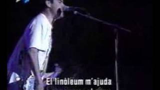 NOFX  Linoleum live Dr Music Festival 97 [upl. by Amabil]