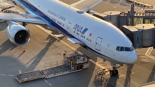 Tokyo HND  New York JFK  ANA  Boeing 777300ER  NH110  Full Flight [upl. by Eenolem840]