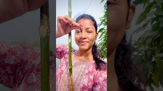 আজ ছিপ দিয়ে মাছ ধরলাম😍video minivlog shortvideo youtubeshorts agriculture viralvideo fish [upl. by Idaf]