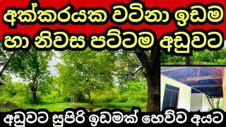 අක්කරයක ඉඩම හා නිවස අඩුම මුදලකට විකිණේ  House for sale  Land for sale  Aduwata idam  idam sale [upl. by Gazzo]