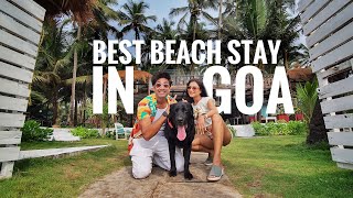 BEST BEACH COTTAGE in a BUDGET  Ashwem Beach GOA [upl. by Kyriako635]