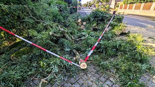 Gewitterfront reißt in Bocholt Ast vom Baum [upl. by Chace730]