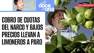 DeDoceAUna¬ Productores de limón en Michoacán van a paro indefinido por extorsiones y bajos precios [upl. by Johnny]