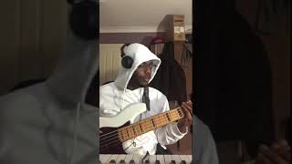 ACHE  EMAWK bass cover [upl. by Ave11]