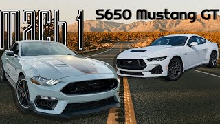 Top 5 Reasons Why I Bought a Mach 1 Mustang over an S650 Mustang GT [upl. by Ylekalb458]