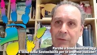 Perchè è fondamentale oggi il tema della Sostenibilità per le imprese italiane [upl. by Merriman]